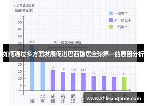 如何通过多方面发展促进巴西稳居全球第一的原因分析