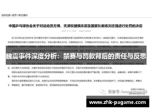 魏震事件深度分析：禁赛与罚款背后的责任与反思