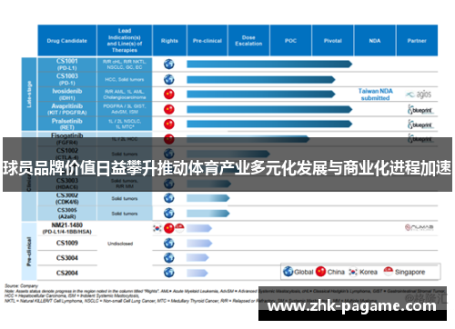 球员品牌价值日益攀升推动体育产业多元化发展与商业化进程加速